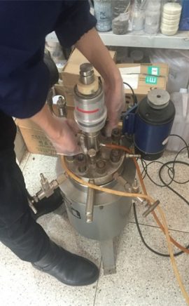 Tedawiya zexta bilind