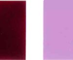 Pigment-tund-19-reng
