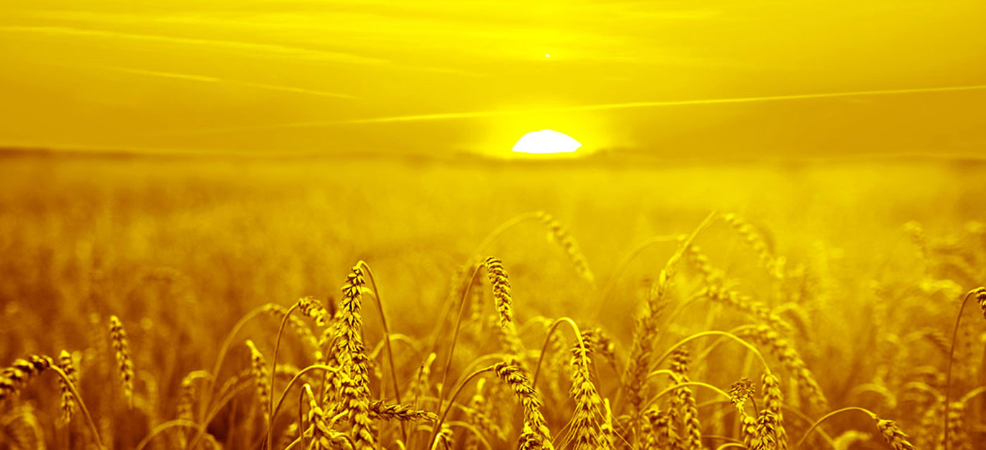 Em Dixwazin çareseriyên rengîn pêşkêş bikin